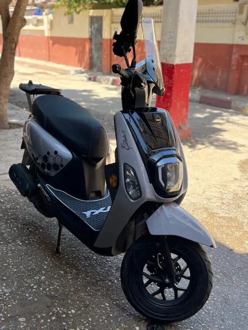 Vms Estate X 2024