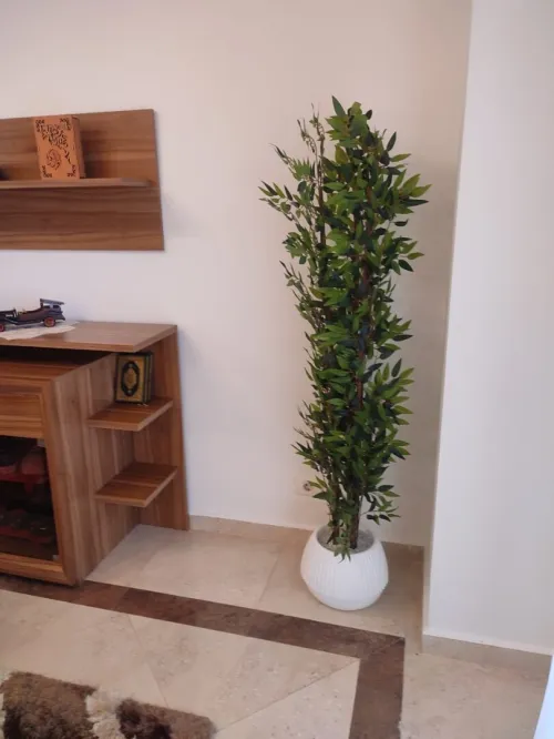 Vente Appartement F4 Alger Ouled fayet