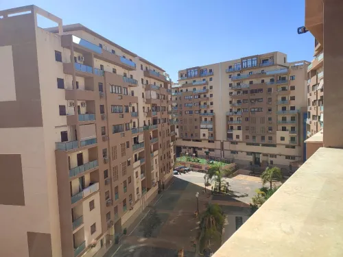Location Appartement F4 Alger Cheraga