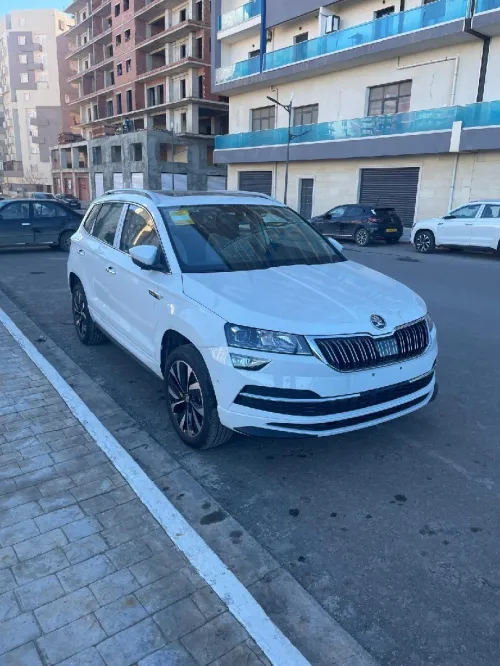 Skoda Karoq 2025 