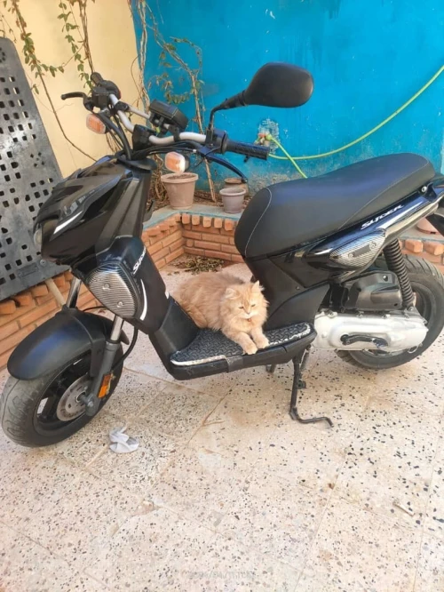 Yamaha Slider 2018
