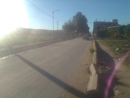 Vente Terrain Blida Bouinan