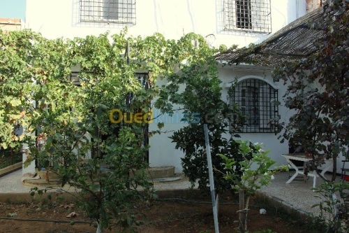 Vente Villa Blida Chiffa