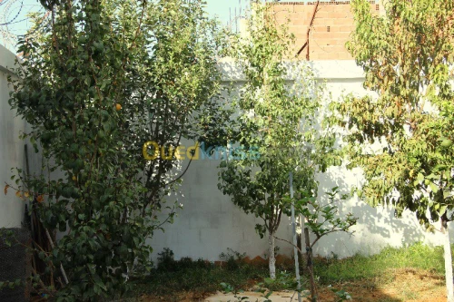 Vente Villa Blida Chiffa