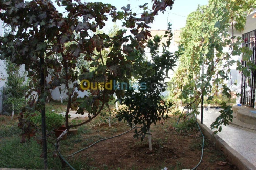 Vente Villa Blida Chiffa