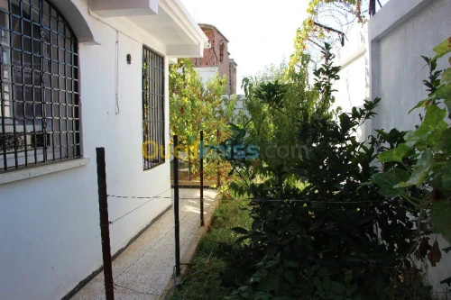 Vente Villa Blida Chiffa