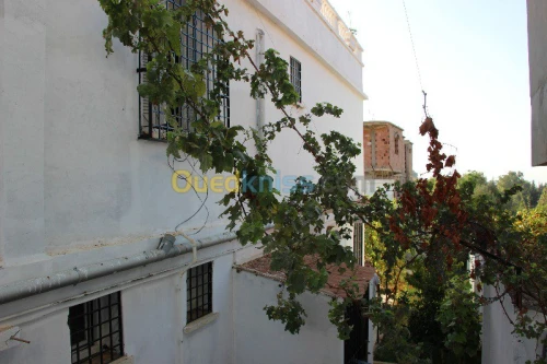 Vente Villa Blida Chiffa