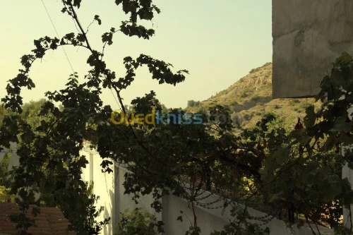 Vente Villa Blida Chiffa