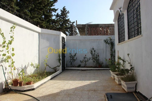 Vente Villa Blida Chiffa