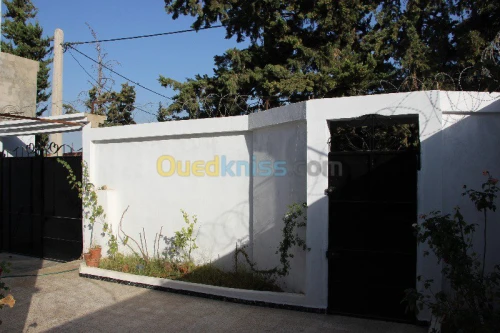 Vente Villa Blida Chiffa