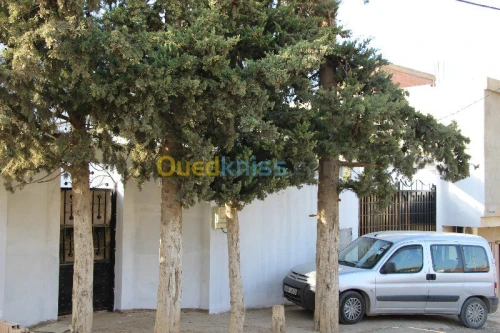 Vente Villa Blida Chiffa