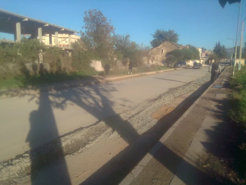 Vente Terrain Blida Bouinan
