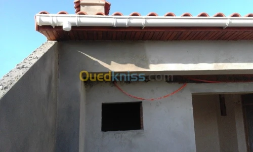 charpentier en bois tout travail bâtim