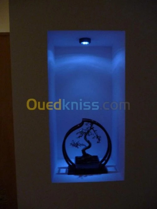 peinteur & plaqoplatre BA13 