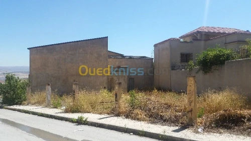 Vente Carcasse Constantine Constantine