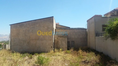 Vente Carcasse Constantine Constantine