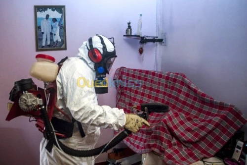 dératisation et désinsectisation 