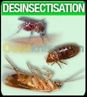 dératisation et désinsectisation 