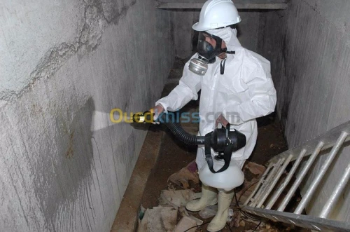 dératisation et désinsectisation 