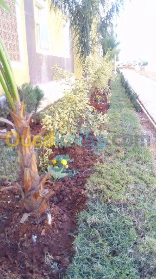 Décoration des jardins 