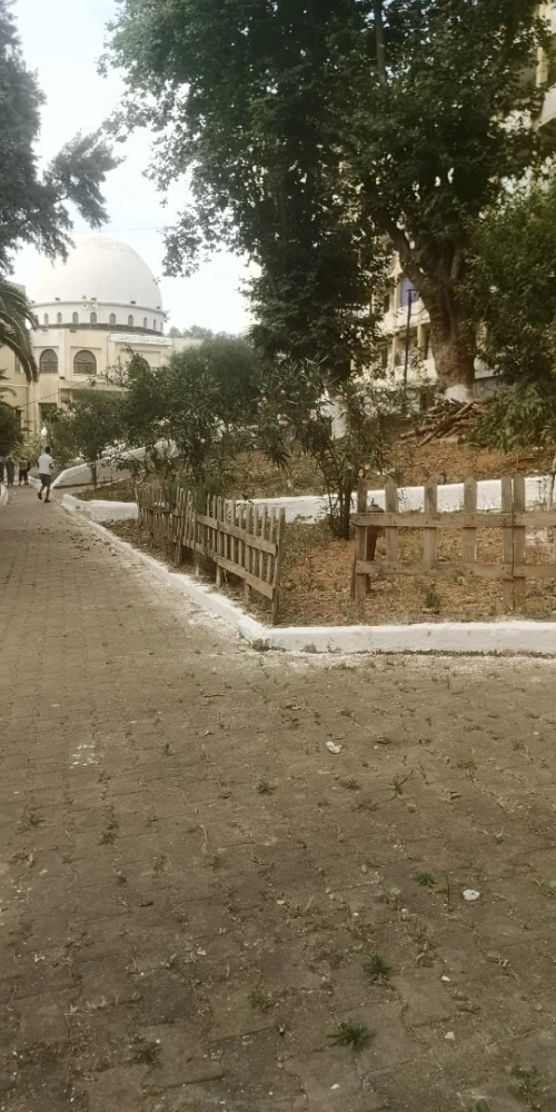 Vente Appartement F3 Alger Ben aknoun