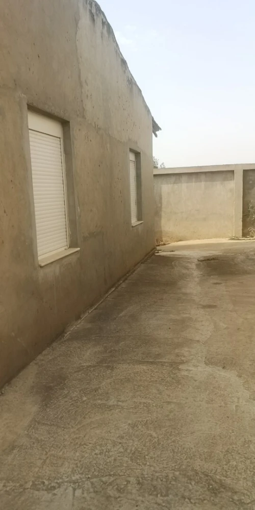 Vente Hangar Alger Rahmania