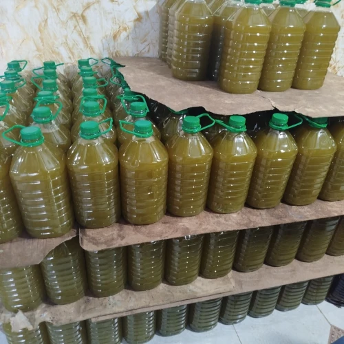 huile d'olive jijel