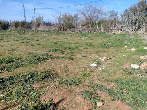 Vente Terrain Mostaganem Sayada