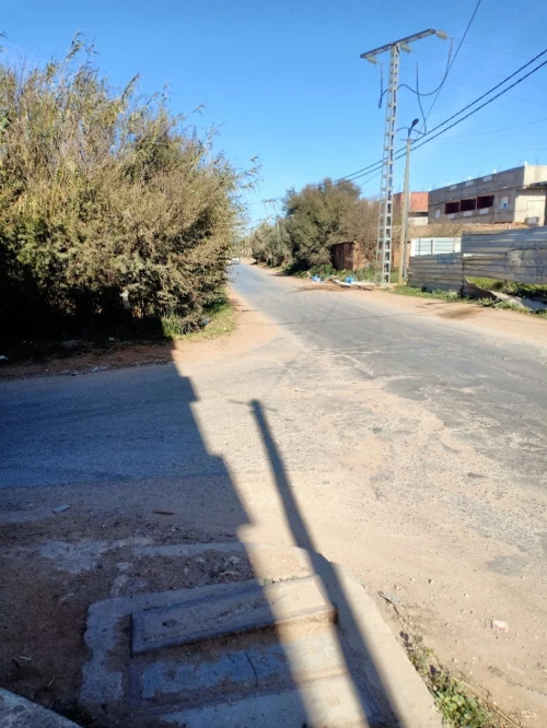Vente Terrain Mostaganem Sayada