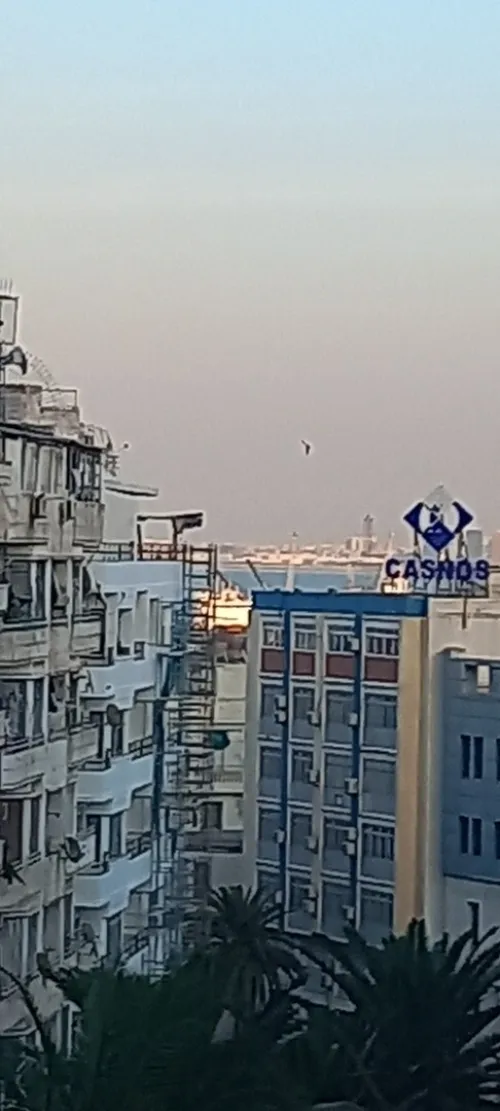 Vente Appartement F5 Alger Alger centre