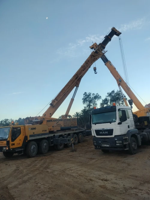 Location grue mobile 100/50 tonne