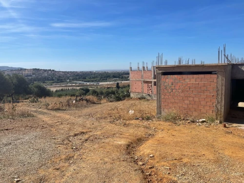 Vente Terrain Boumerdès Larbatache