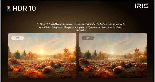 TV IRIS 55" MINILED M8020 GOOGLE TV 4k 120 HZ UHD ANDROID 14 55 POUCES