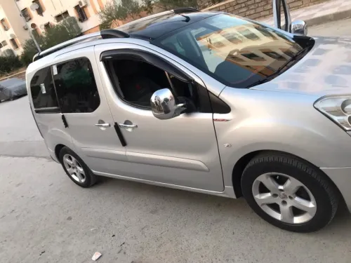 Peugeot Partner 2010 Tepee