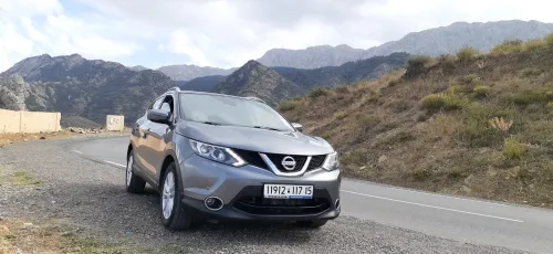 Nissan Qashqai 2017 Qashqai