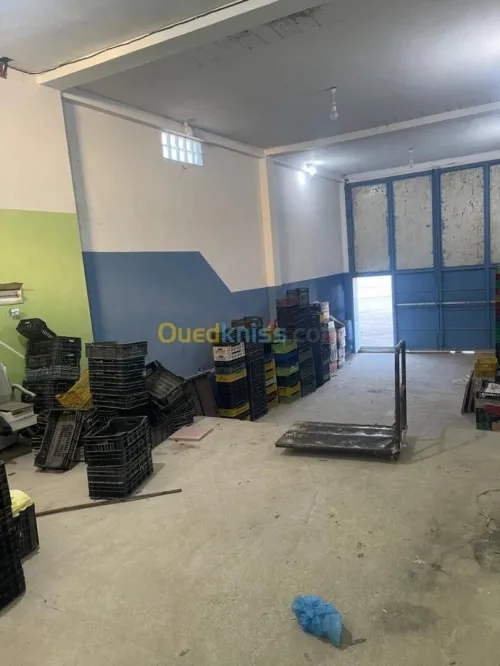 Vente Terrain Djelfa Djelfa
