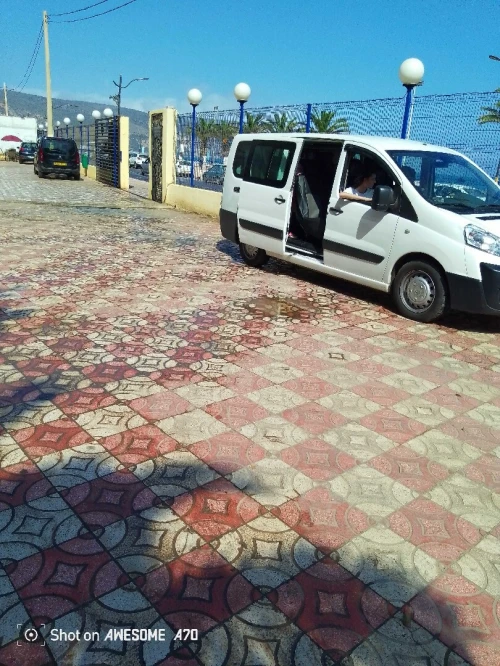 Expert Mini bus 2015