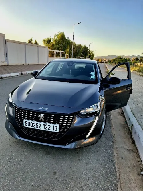 Peugeot 208 2022 208