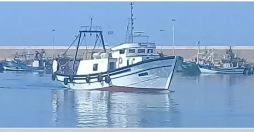 Chalutier 24M