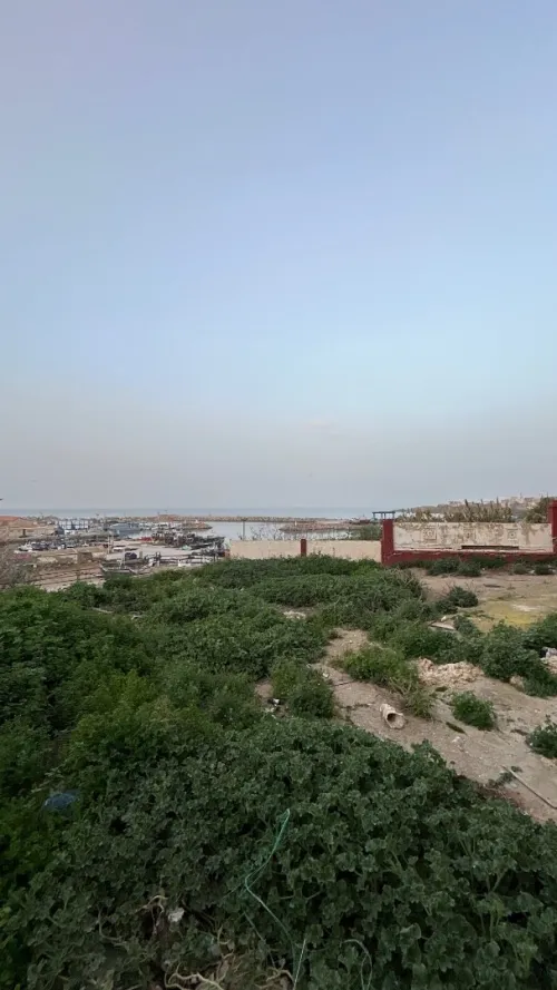 Location Villa Tipaza Cherchell