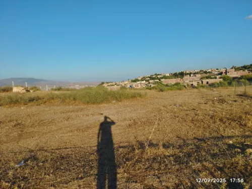 Vente Terrain Mila Sidi merouane