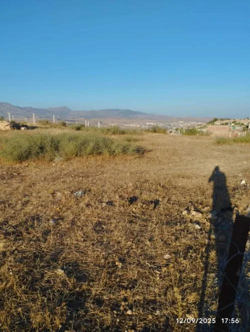 Vente Terrain Mila Sidi merouane