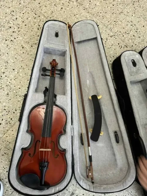 Violons 