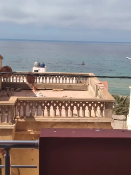 Location vacances Appartement Studio F2 F3 Oran Ain el turck