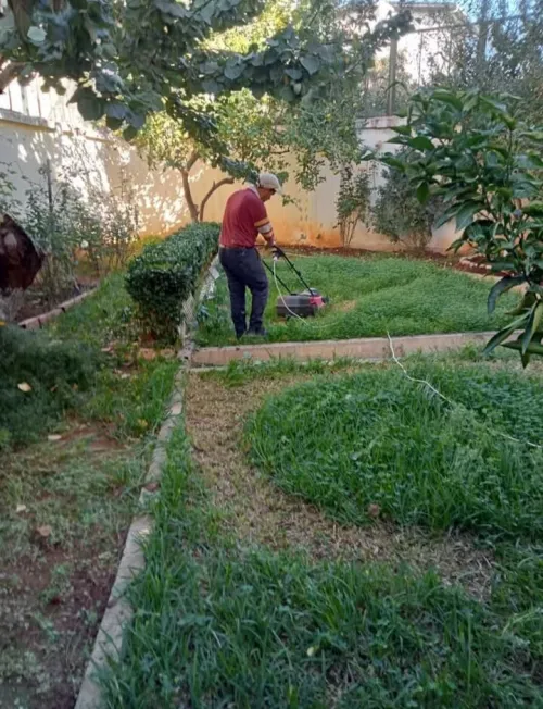 Jardinière