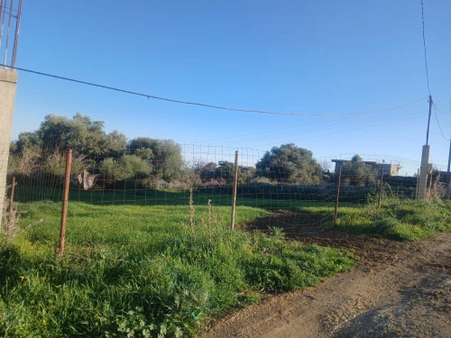 Vente Terrain Blida Bougara