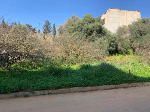 Vente Terrain Alger Draria