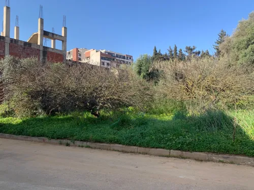 Vente Terrain Alger Draria