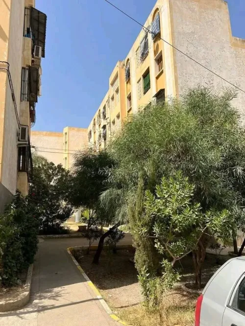 Location Appartement F3 Blida Blida