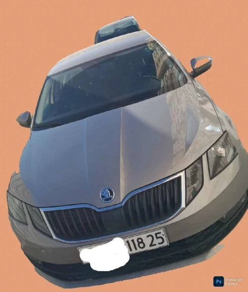 Skoda Octavia 2018 Clever